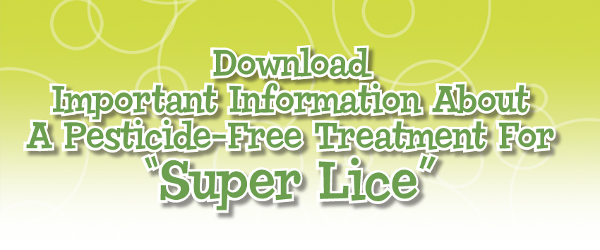 Download Important Information About a Pesticide-Free Treatment for 'Super Lice'